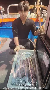 제주에이스호!!(15일)대갈치조황입니다..문의010 3548 3472~010 3860 3472(전좌석봉돌투승기장착9.77톤12석운영합니다.