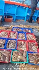 제주에이스호!!(5월11일)심해갑오징어조황입니다010 35483472~010 3860 3472{9.77톤22인승16석운영