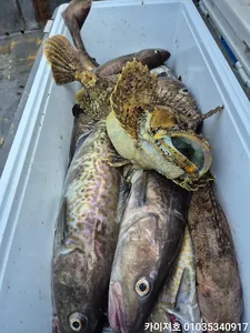 16일)오늘도 대구는 폭발~ 타작 굿^^