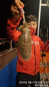 제주에이스호!!(17일)한치조황입니다...문의 010 3548 3472~010 38603472