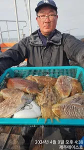 제주에이스호!!(9일)갑오징어조황입니다..문의~01035483472~01038603472