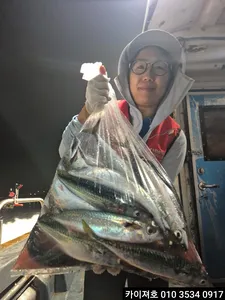 27일 시장급 고등어.왕전갱이 조황