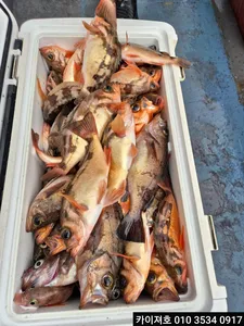 6일)완전 아주 그냥 끝네준 대 타작~!!