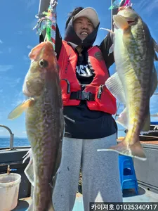 오늘도 역시 전원 히트! 타작~ 18일 대구조황