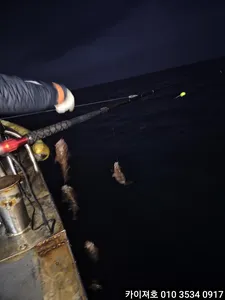 12일 예상을 뒤엎은 타작