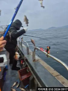 1일 볼락.열기 조황!