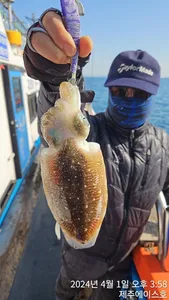  제주에이스호!!(4월1일)갑돌갑순이 조황입니다~문의 01035483472~01038603472