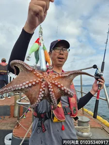 8일 포항 명품 돌문어! 전원히트 폭발^^