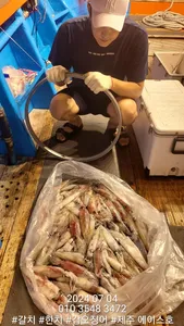 제주에이스호!!(3일)한치조황입니다.문의 010 3548 3472~010 3860 3472