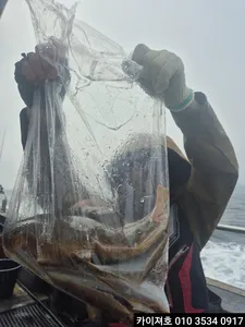 27일 도다리.참가자미 조황!