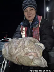 9일)야간 돌문어 조황