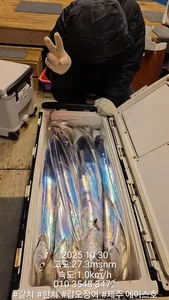 제주에이스호!!(10월29일)제주갈치조황입니다010 35483472~010 3860 3472{9.77톤22인승12석운)전좌석봉돌투등기장착 청결은보장