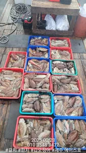 제주에이스호!!(28일)심해갑오징어조황입니다010 35483472~010 3860 3472{9.77톤22인승16석운영..