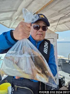 3일)왕도다리 참가자미 조황~!!