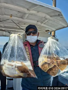 11일 도다리.참가자미 조황!