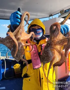 [진해문어낚시] 씨알좋고 손맛 끝내주는 키로오버 돌문어 찐한 손맛보시며 즐기고 왔습니다^0^