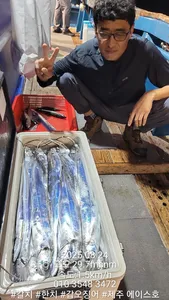 제주에이스호!!(8월23일)제주갈치조황입니다010 35483472~010 3860 3472{9.77톤22인승12석운)전좌석봉돌투등기장착 청결은보장