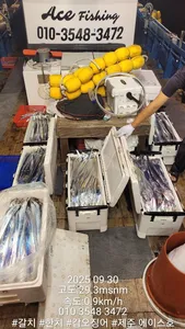 제주에이스호!!(9월30일)제주갈치조황입니다010 35483472~010 3860 3472{9.77톤22인승12석운)전좌석봉돌투등기장착 청결은보장