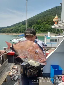 ((경남고성 주인호))주인호 토요일 대물 참돔 조황!
