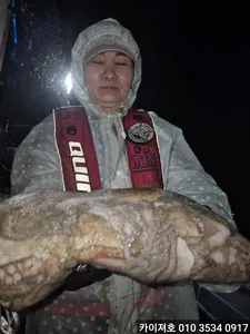 27일 야간 돌문어 조황!