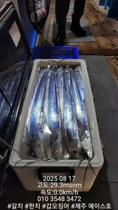 제주에이스호!!(8월16일)제주갈치조황입니다010 35483472~010 3860 3472{9.77톤22인승14석운