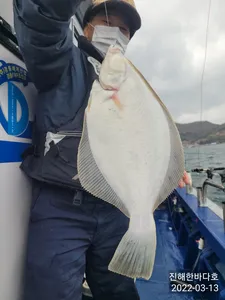 강풍속에서도 굵직~한 왕도다리들로 후두둑!! 쌍걸이에 연이은 손맛 보시며 신나게 즐기고 왔습니다~^0^