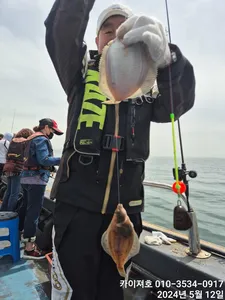 12일)오전 실시간 싸이즈알 좋고 잘 나오네요