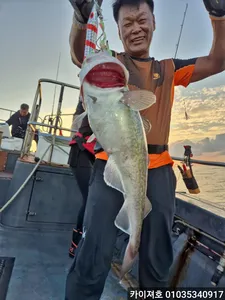 오늘도 전원타작 만쿨 대박! 11일 대구조황