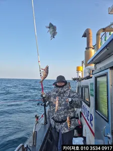 24일 볼락.열기 조황!