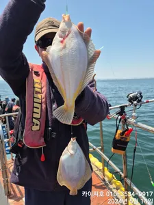 14일 화요일 왕도다리.참가자미 조황
