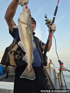 7일) 만쿠르~ 왕대구 !!