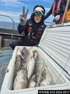 13일 주간 왕대구.야간 오징어 조황!