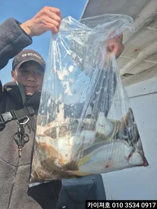 23일)오전 도다리참가자미 조황!