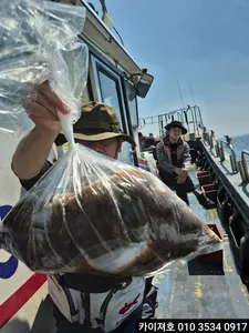 8일)도다리참가자미 조황