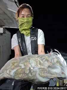 29일 야간 돌문어 조황!