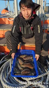 제주에이스호!!(13일)갑이조황입니다 문의01035483472 01038603472