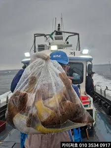 5일)오후 타작 조황~