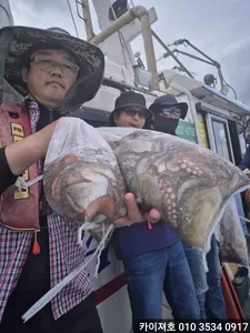 17일)오전 돌문어