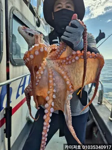 22일 대구 전원히트! 왕초보도 만쿨!