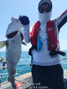 왕대구 금요일 모집중 입니다