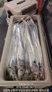 제주에이스호!!(10일)대갈치조황입니다.문의010 3548 3472~010 3860 3472{전좌석봉돌투승기장착}9.77톤22인승12석운영합니다.