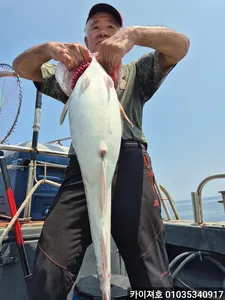 24일 왕대구 타작 쿨러