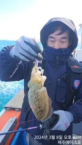  제주에이스호!!(8일)갑이조황입니다 요즘사이즈굿~문의01035483472~01038603472