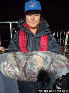 2일)야간 돌문어 조황~!!