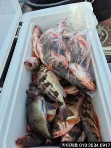 14일)오늘도 대박으로 달렸어요