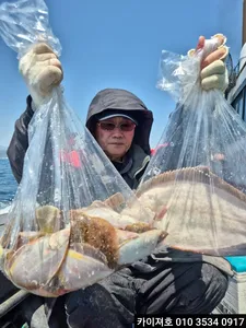 12일 도다리.참가자미 조황!