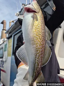 오늘도 전원히트! 24일 대구조황