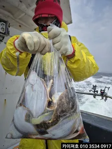 4일)오전 왕도다리참가자미 푸짐한 조황~!!