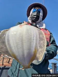 26일)오전 도다리참가자미 조황 !!