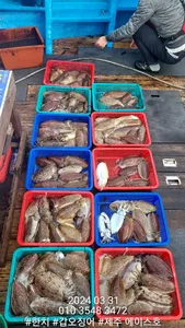 제주에이스호!!(31일)갑이조황입니다~예약문의 01035483472~01038603472